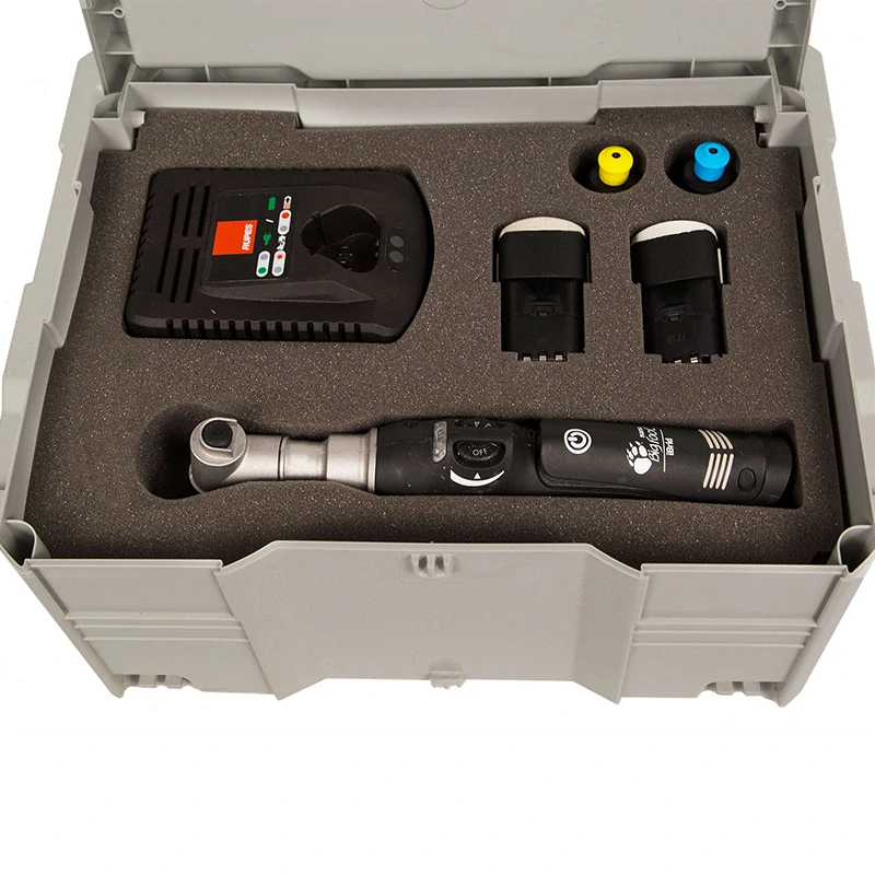 RUPES HR81M Ibrid Short BigFoot - STP